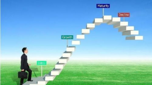 深圳品牌策劃與營銷 市場動態與專業機構的優勢解析